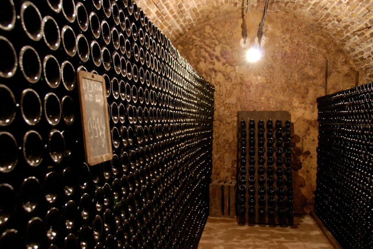 Enjoy En Champagne Maison Calme Au Milieu Du Vignoble Avec Parking Gratuit Dormans Exterior foto
